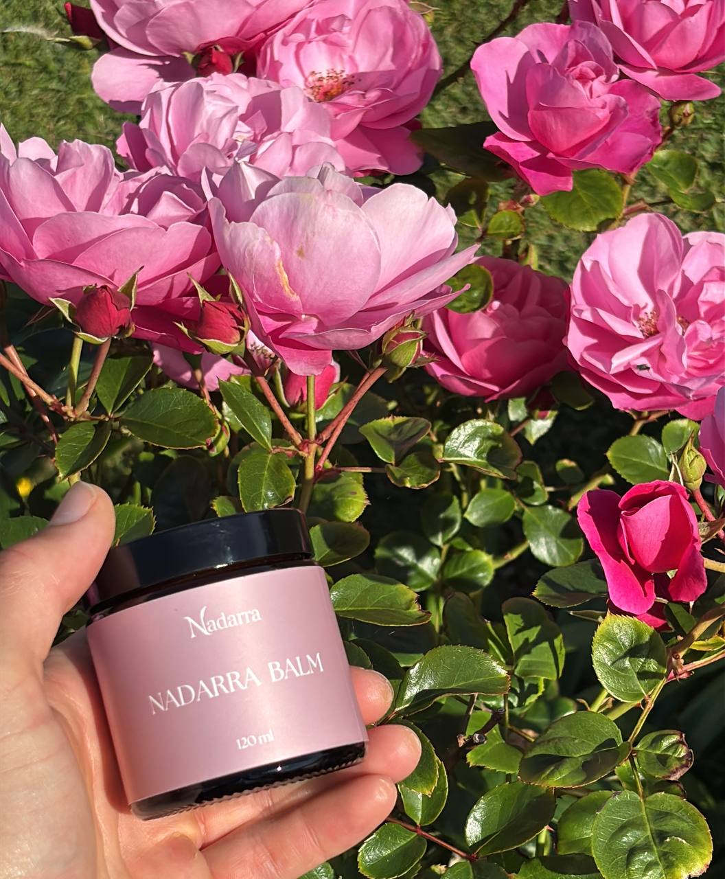 Nadarra Balm held among wild roses