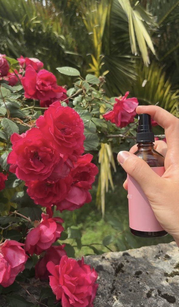 Rose Mist