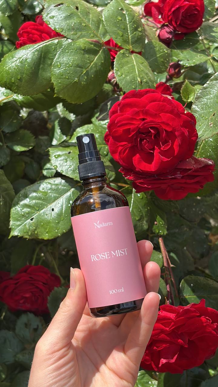 Rose Mist among red roses